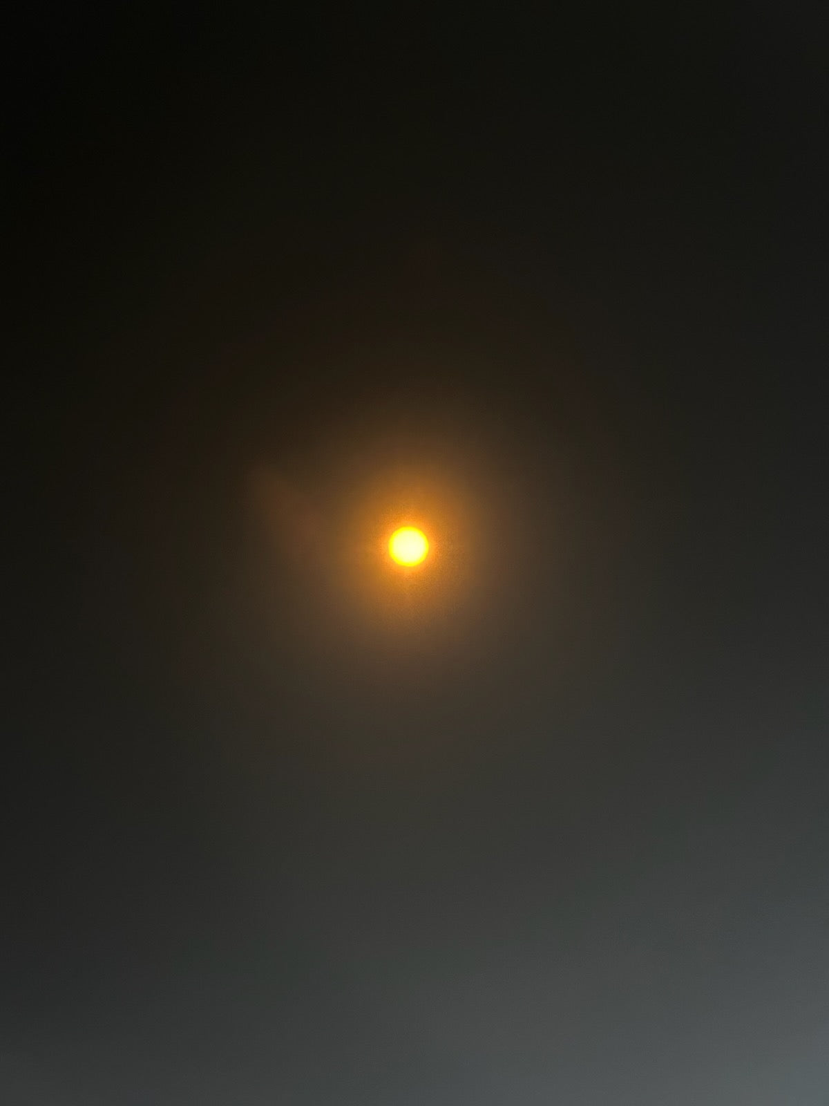 Eclipse Glasses