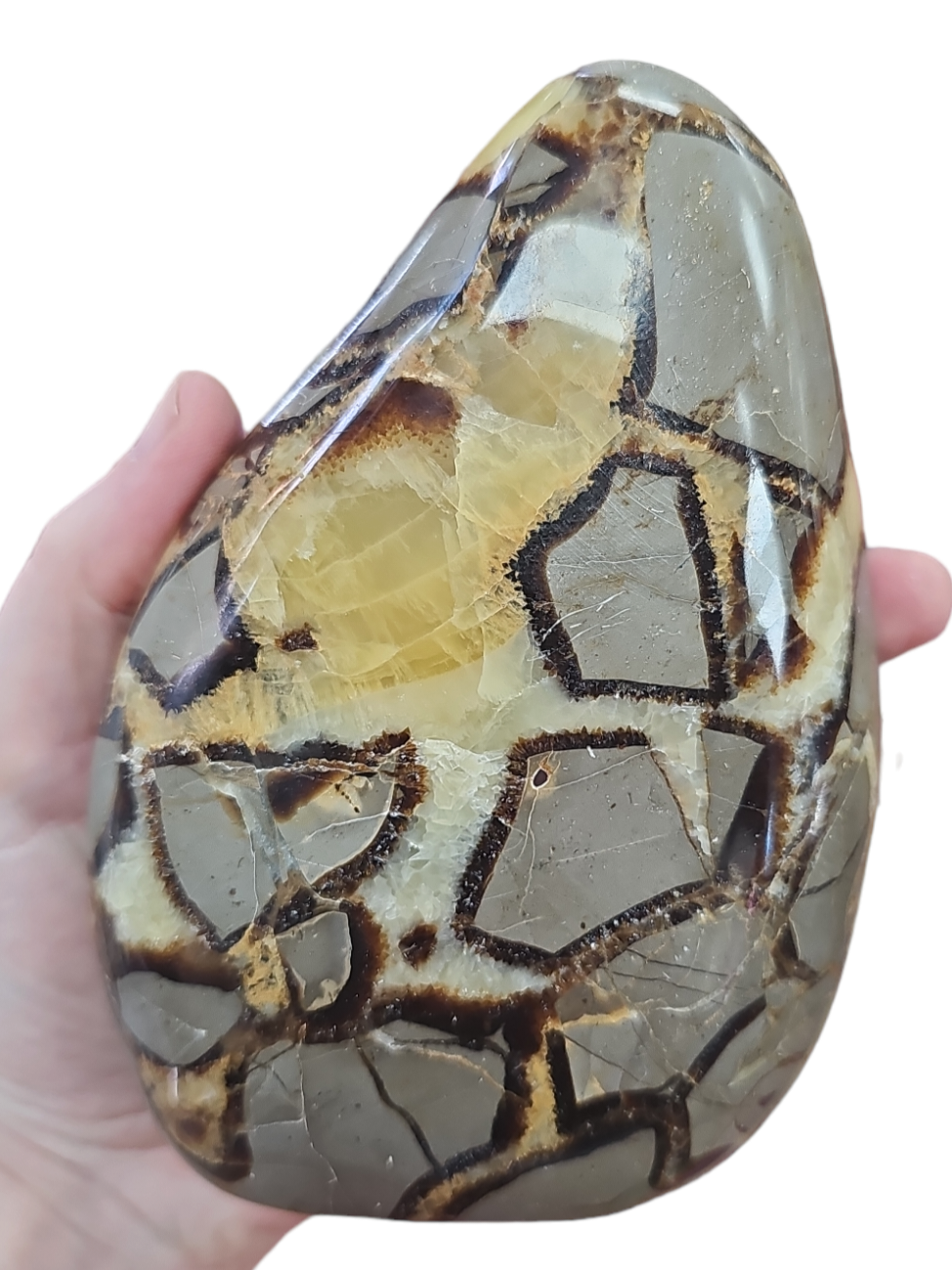 Septarian Freeform