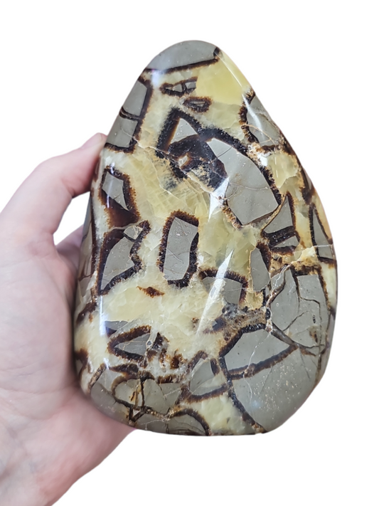 Septarian Freeform